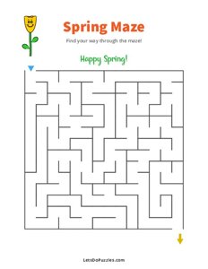 Spring Maze