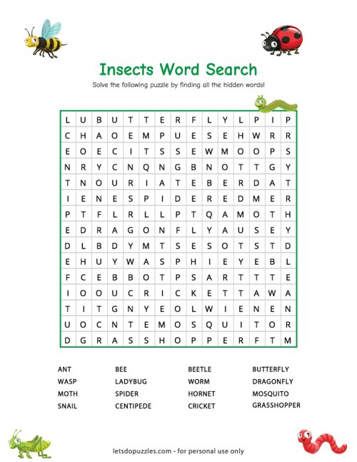 Insect Word Search