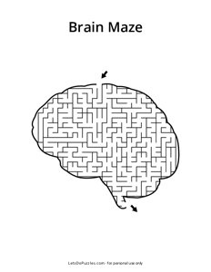 Human Brain Shaped Maze