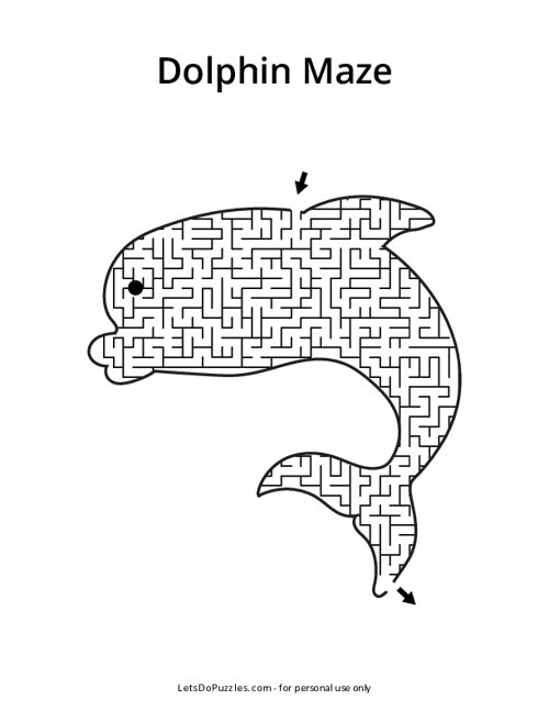 Dolphin Shaped Maze