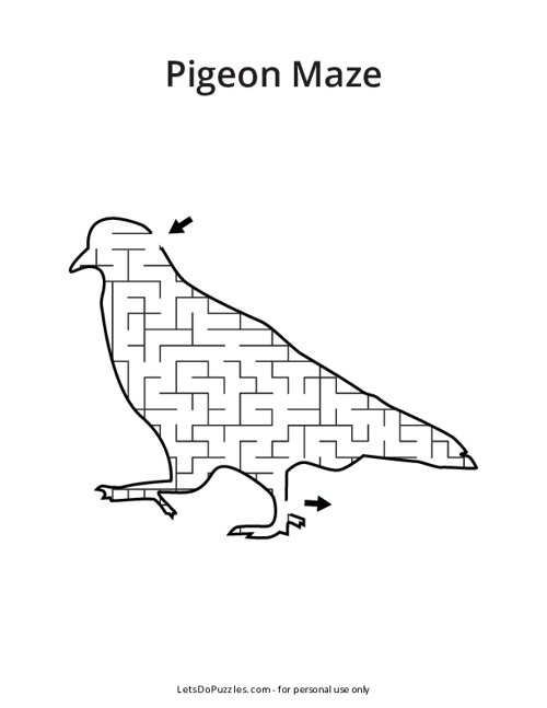 Pigeon Shaped Maze