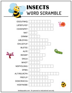 Insects Word Scramble