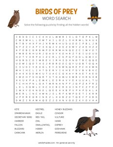 Birds of Prey Word Search