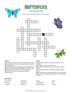Butterflies Crossword