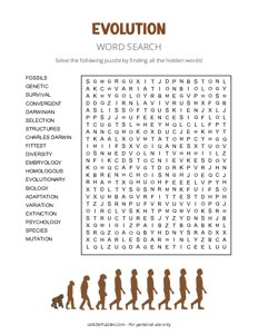 evolution word search pdf