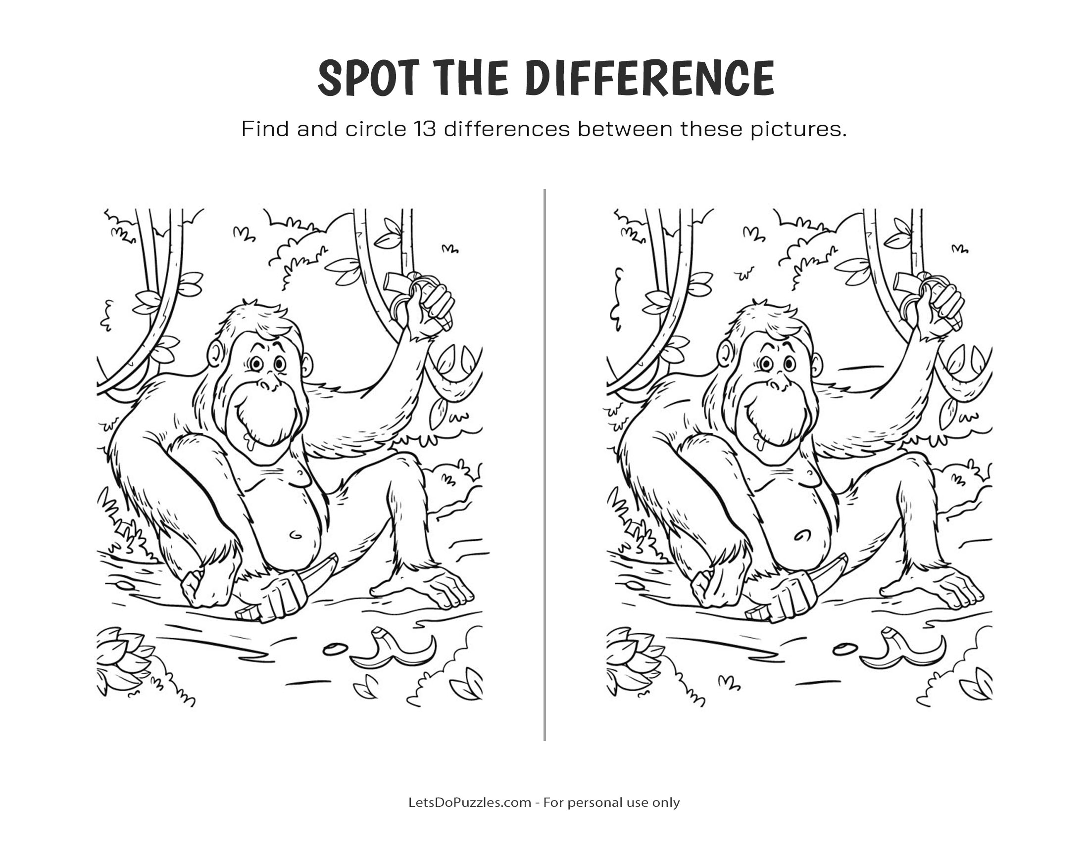 Rainforest Monkey - Spot the Difference