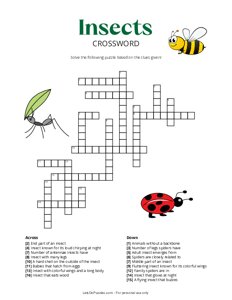 Insects Crossword