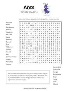 All About Ants Word Search