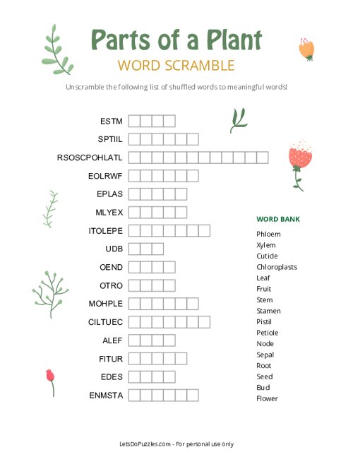 Parts of a Plant Word Scramble