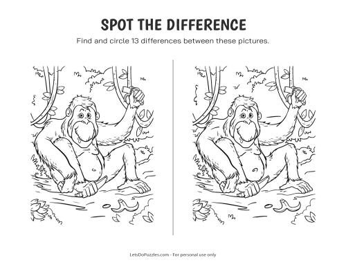 Rainforest Monkey - Spot the Difference