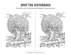 Tree - Spot the Difference