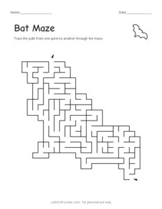 Bat Maze
