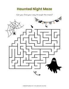 Haunted Night Maze