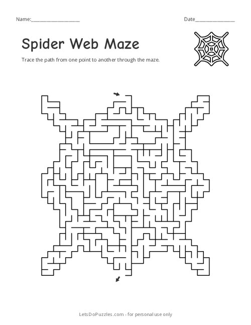 Spider Web Maze