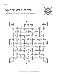 Spider Web Maze