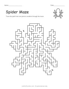 Spider Maze