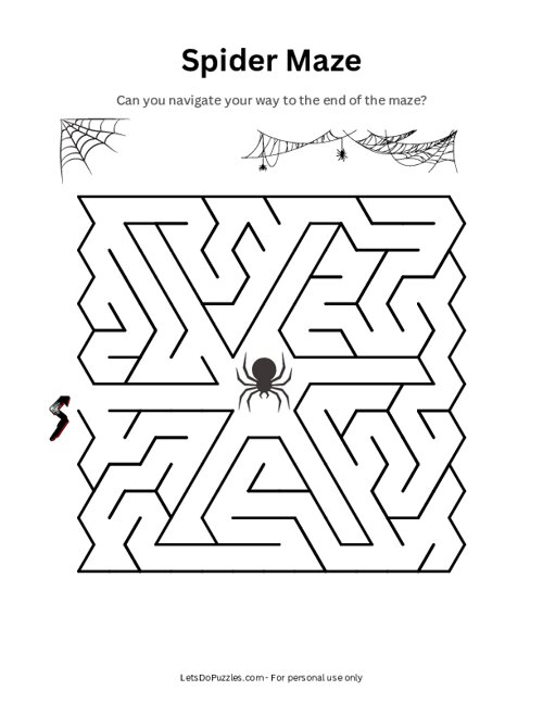 Spider and Web Maze