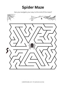 Spider and Web Maze