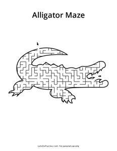 Alligator Shaped Maze