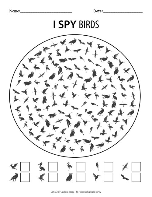 I Spy Birds