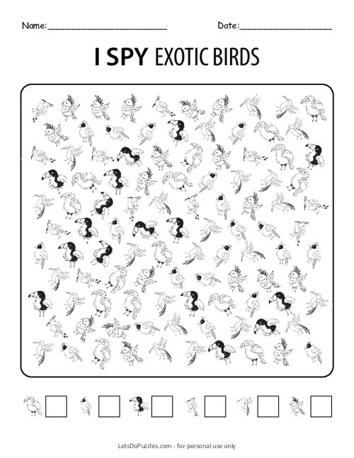 I Spy Exotic Birds