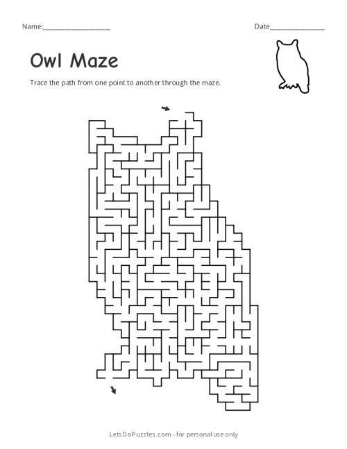 Owl Maze