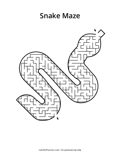 Snake Shaped Maze