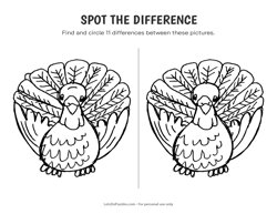 Turkey - Spot the Difference