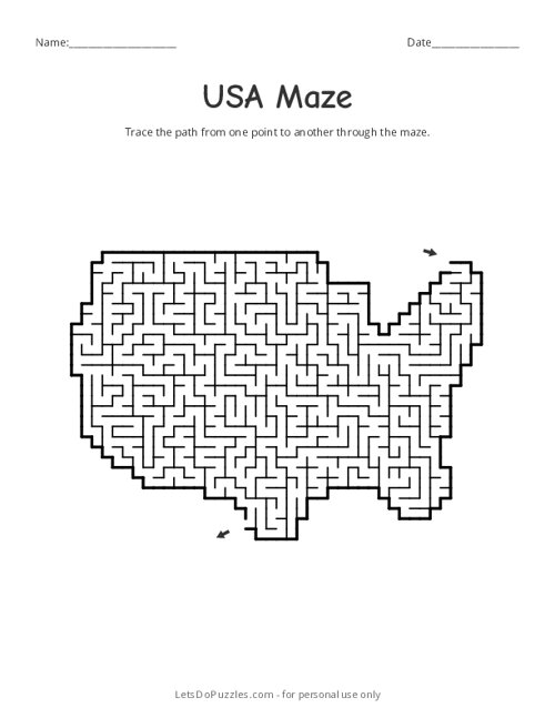 USA Shaped Maze