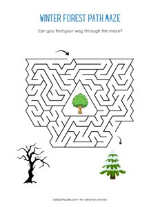 Winter Forest Path Maze