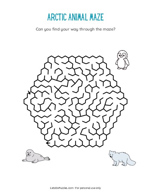Arctic Animal Maze