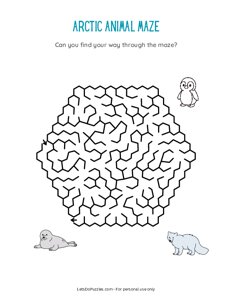 Arctic Animal Maze