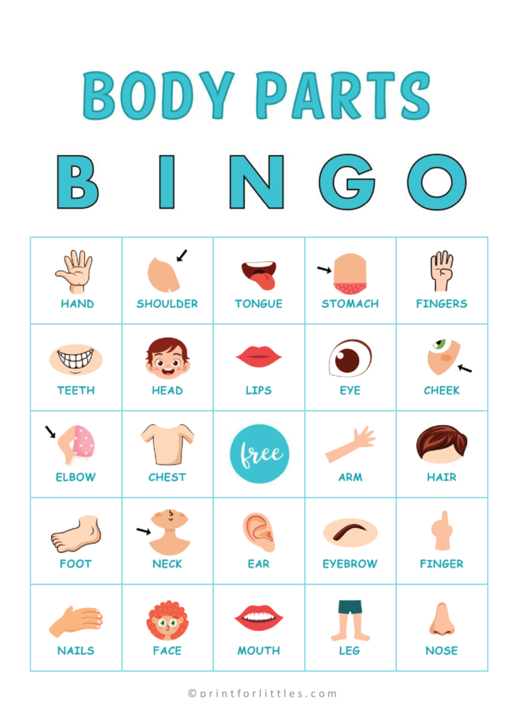 Body Parts Bingo