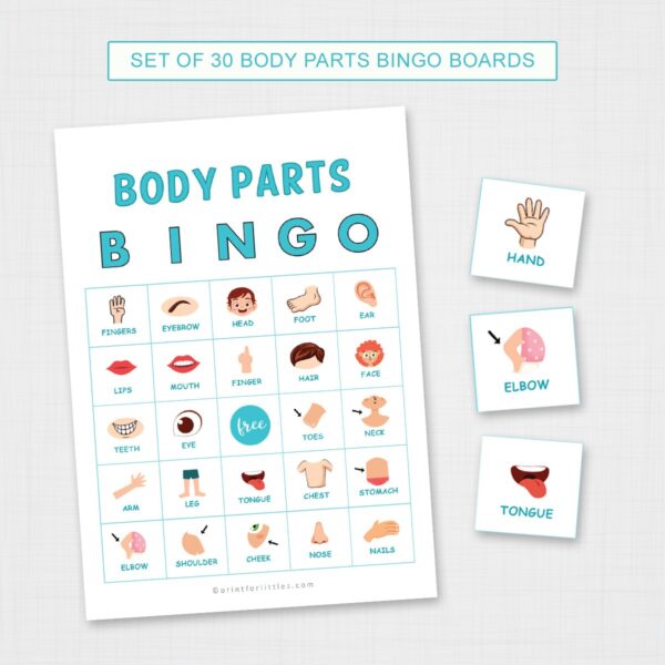 30 My Body Parts Bingo Cards Printable