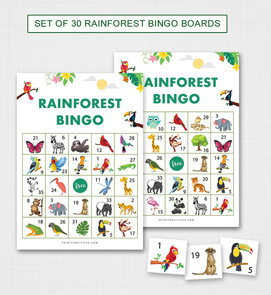 Rainforest Bingo Cards Printable